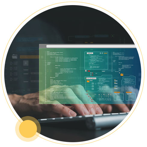Business Customization and Software development